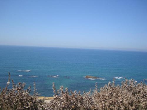 Appartement De Luxe Asilah Dış mekan fotoğraf
